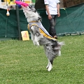 56th Mother Cup 01609.JPG