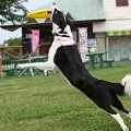 56th Mother Cup 01856.JPG