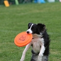 56th Mother Cup 01922.JPG