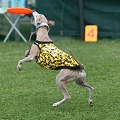 56th Mother Cup 02039.JPG