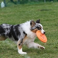 56th Mother Cup 02144.JPG