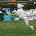 56th Mother Cup 02506.JPG