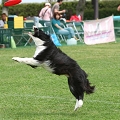 56th Mother Cup 02551.JPG