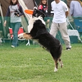 56th Mother Cup 04990.JPG
