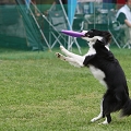 56th Mother Cup 05135.JPG