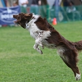 56th Mother Cup 05199.JPG