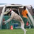 56th Mother Cup 05283.JPG