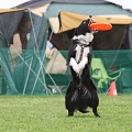 56th Mother Cup 05344.JPG