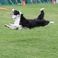 56th Mother Cup 05409.JPG
