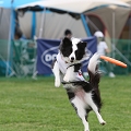 56th Mother Cup 05428.JPG