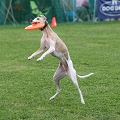 56th Mother Cup 05614.JPG