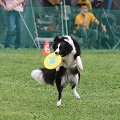 56th Mother Cup 05884.JPG