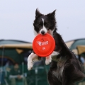 56th Mother Cup 05933.JPG