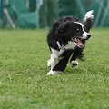 56th Mother Cup 05958.JPG