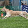 56th Mother Cup 06091.JPG
