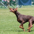 56th Mother Cup 07148.JPG