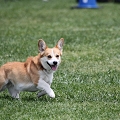 56th Mother Cup 07203.JPG