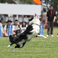 56th Mother Cup 07211.JPG