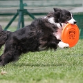 56th Mother Cup 07235.JPG