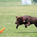 56th Mother Cup 07285.JPG