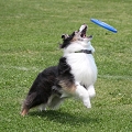 56th Mother Cup 07398.JPG