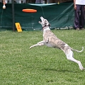 56th Mother Cup 07433.JPG