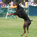 56th Mother Cup 07455.JPG