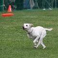 56th Mother Cup 08279.JPG