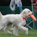 56th Mother Cup 08341.JPG