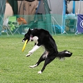 56th Mother Cup 08569.JPG