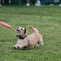 56th Mother Cup 08599.JPG