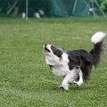 56th Mother Cup 08683.JPG