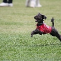 56th Mother Cup 07509.JPG