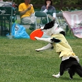 56th Mother Cup 07547.JPG