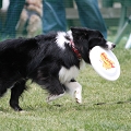 56th Mother Cup 07560.JPG