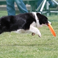 56th Mother Cup 07565.JPG