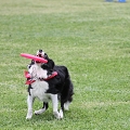 56th Mother Cup 07597.JPG
