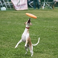 56th Mother Cup 07622.JPG