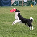 56th Mother Cup 07677.JPG