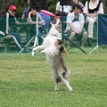 56th Mother Cup 07701.JPG