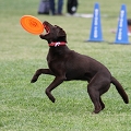 56th Mother Cup 07750.JPG