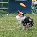 56th Mother Cup 07883.JPG