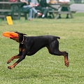 56th Mother Cup 07922.JPG