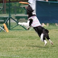 56th Mother Cup 07958.JPG