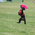 56th Mother Cup 07996.JPG