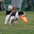 56th Mother Cup 08916.JPG