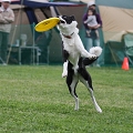 56th Mother Cup 08929.JPG