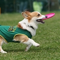 56th Mother Cup 02644.JPG
