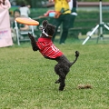 56th Mother Cup 02741.JPG