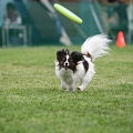56th Mother Cup 06480.JPG